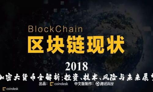 加密大货币全解析：投资、技术、风险与未来展望