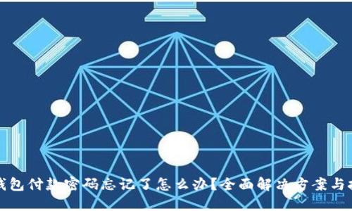 TP钱包付款密码忘记了怎么办？全面解决方案与技巧