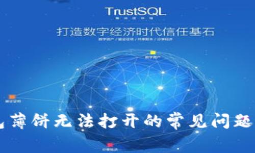 解决TP钱包薄饼无法打开的常见问题与修复方法